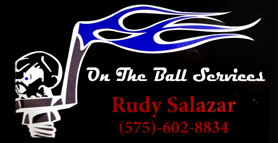 On the Ball Services